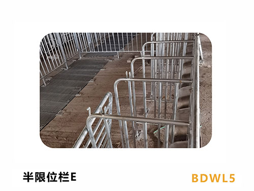 贵州养猪限位栏